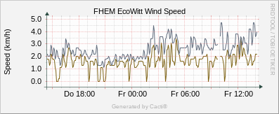 EcoWitt Wind Speed
