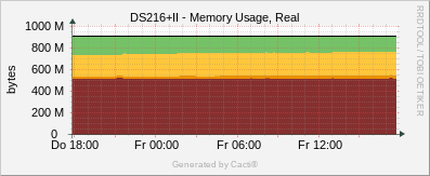 DS216+II - Memory Usage Real